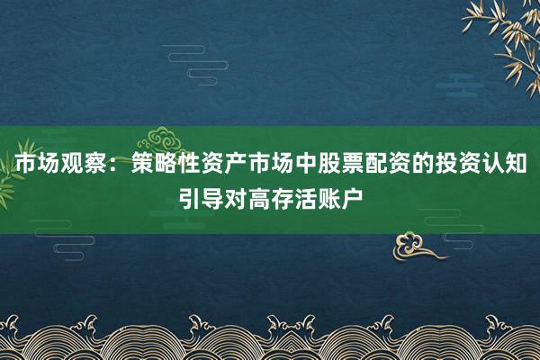 市场观察：策略性资产市场中股票配资的投资认知引导对高存活账户