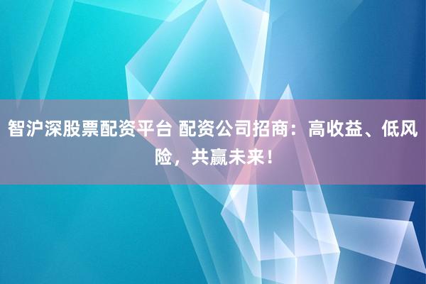 智沪深股票配资平台 配资公司招商：高收益、低风险，共赢未来！