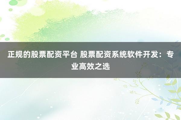 正规的股票配资平台 股票配资系统软件开发:专业高效之选