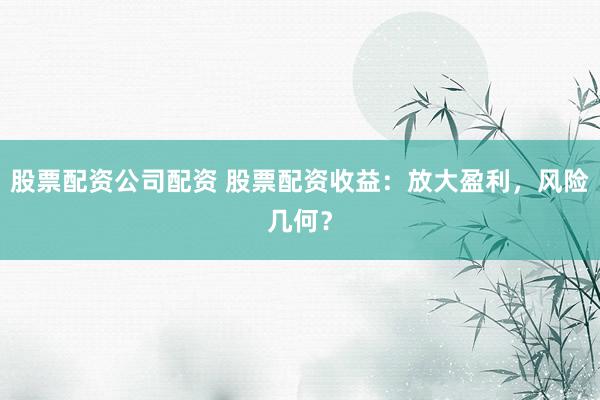 股票配资公司配资 股票配资收益:放大盈利,风险几何?