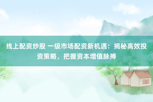 线上配资炒股 一级市场配资新机遇:揭秘高效投资策略,把握资本增值脉搏